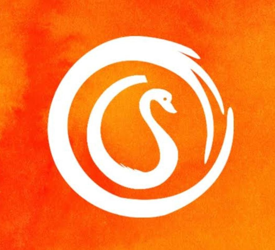 S logo